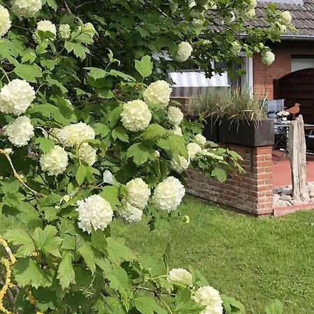 Eidernest Comfortable Ferienhaus